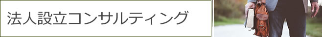 法人設立コンサルティング