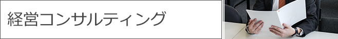 経営コンサルティング